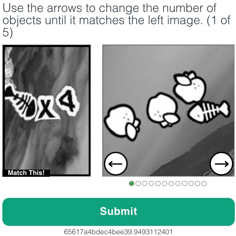 The confusing Captcha